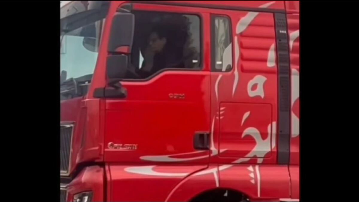 Video of Babak Zanjani on Leave After Ten Years Released