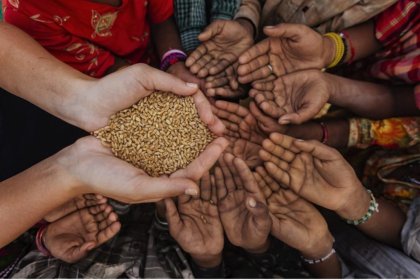 Imbalance in Food Security is Lurking if We Are Not Vigilant