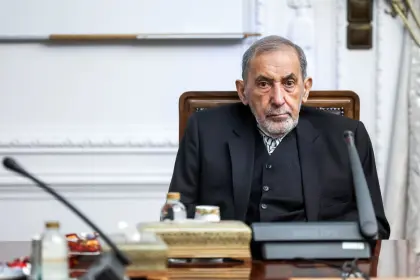 Velayati: The US Government is Disorganized