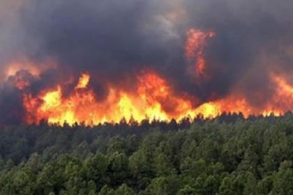 Once Again, Golestan Forests Burn Due to Mismanagement