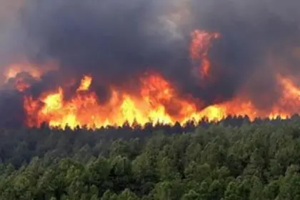 Once Again, Golestan Forests Burn Due to Mismanagement