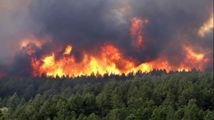 Once Again, Golestan Forests Burn Due to Mismanagement