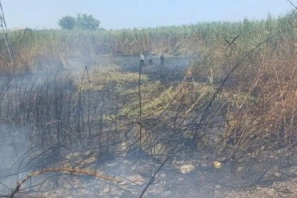 Fire in Part of the Reeds of Anzali Wetland