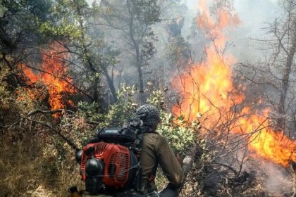 In the Abidar Sanandaj fire, 22 compatriots lost their lives