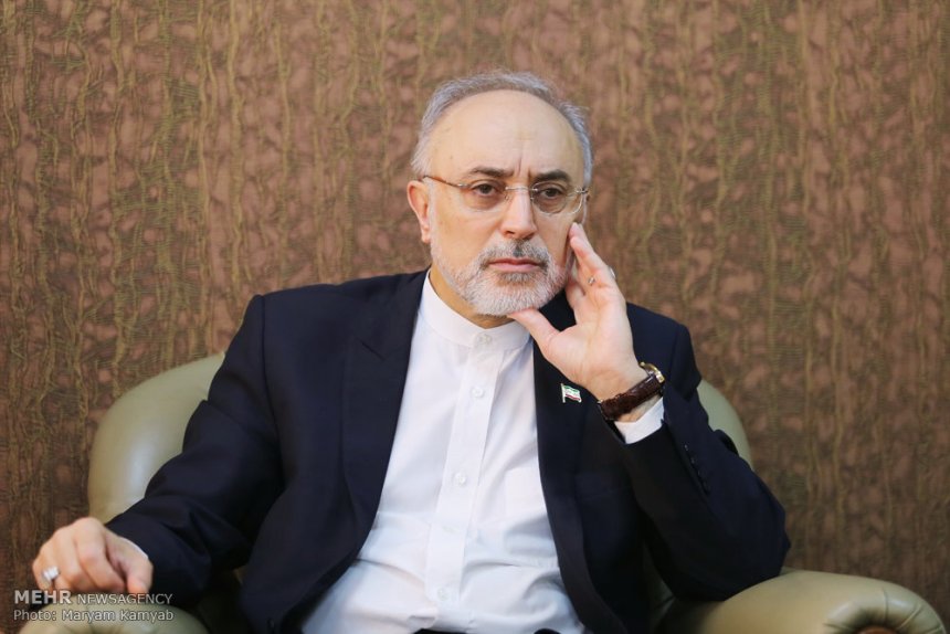 Salehi: Withdrawal from NPT is under the Leader's authority, not the Parliament's
