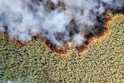 Hoveyzeh Environmental Chief Warns Iranian Part of Hoor al-Azim Will Be Destroyed by Fire if Karkheh Dam Water Doesn't Flow