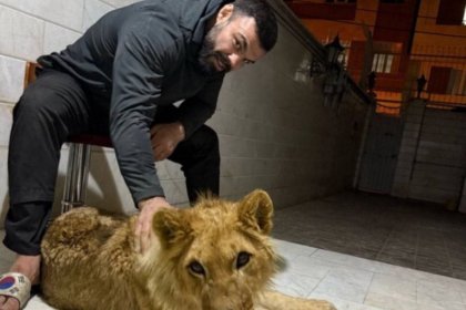 Amir Aliakbari's Lion Cub Died in Tehran's Eram Park Zoo
