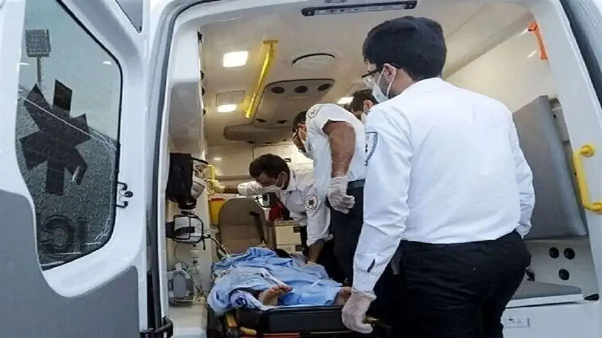 Chairman of the Education Commission: Stress from Physical Punishment is the Cause of Nima Najafi's Death