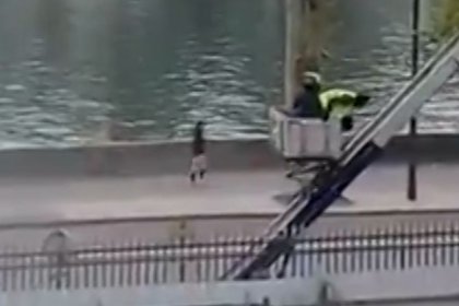 The Moment Louvre Museum Thieves Flee with Elevator and Scooter