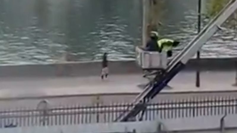 The Moment Louvre Museum Thieves Flee with Elevator and Scooter