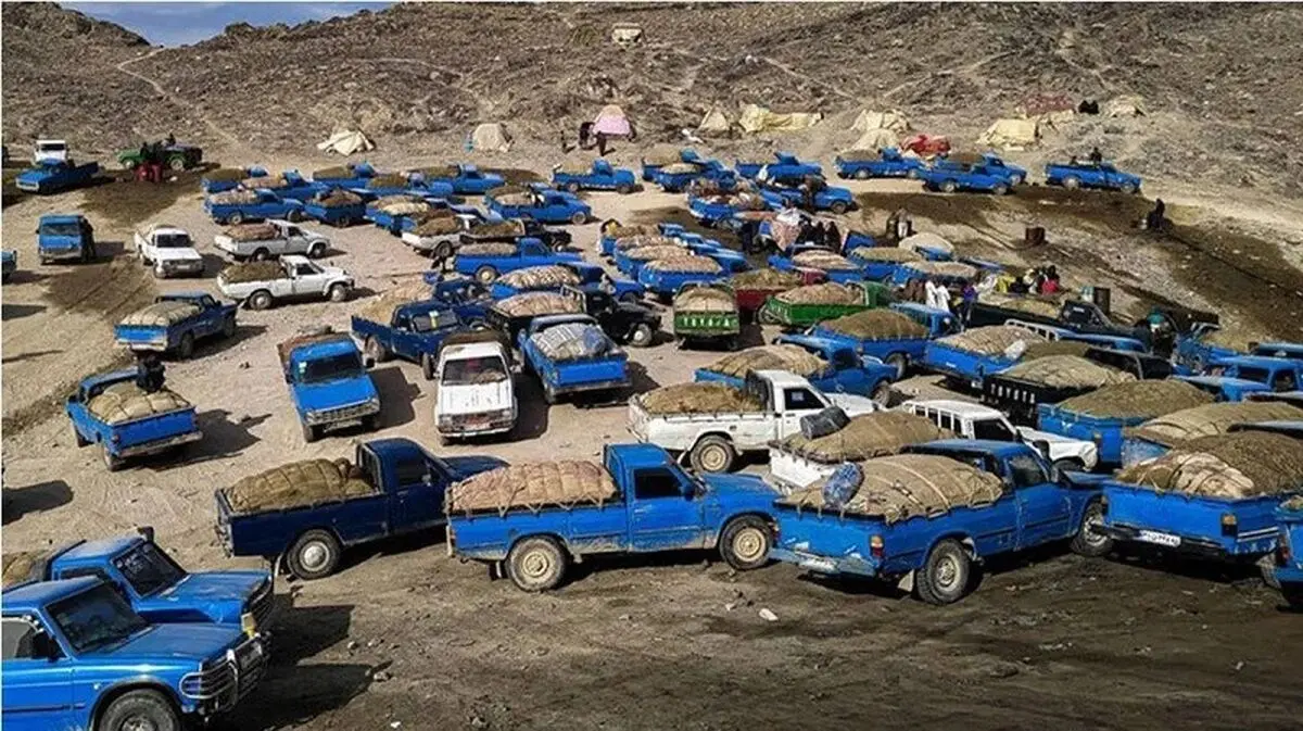 Head of Kerman Judiciary: 30 Million Liters of Smuggled Fuel Identified