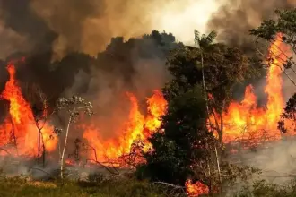 The Hirkanian Forests Fire Enters Third Week