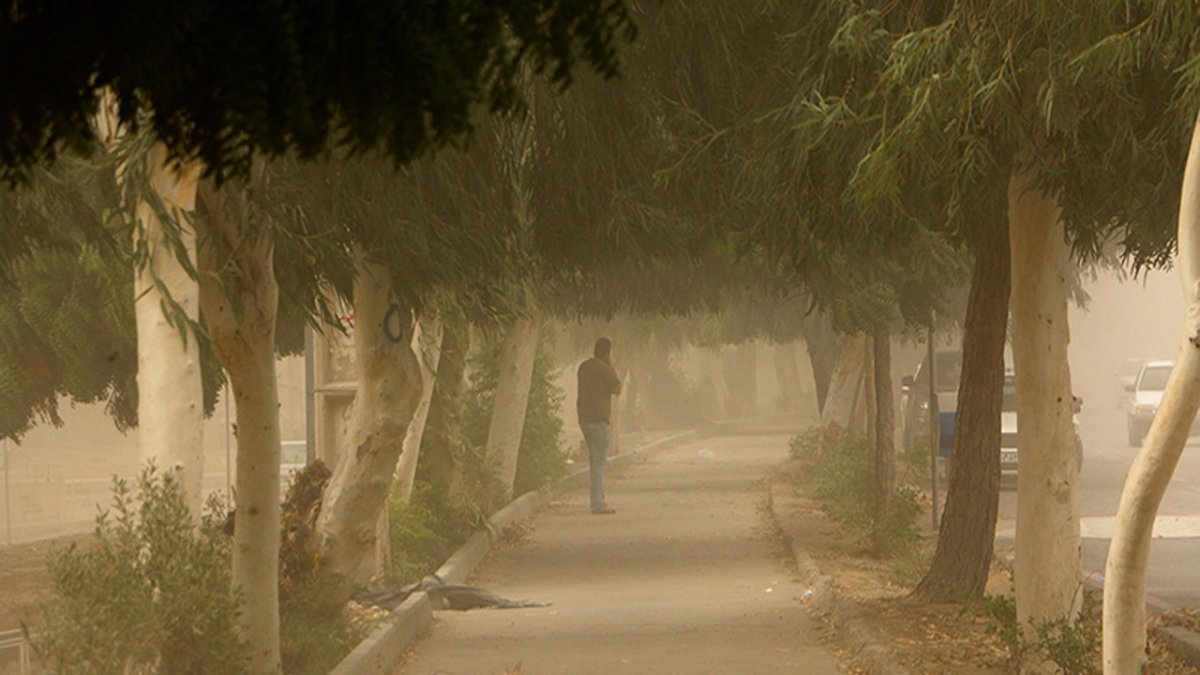 Schools and universities in eight counties of Hormozgan announced remote due to dust and sandstorm