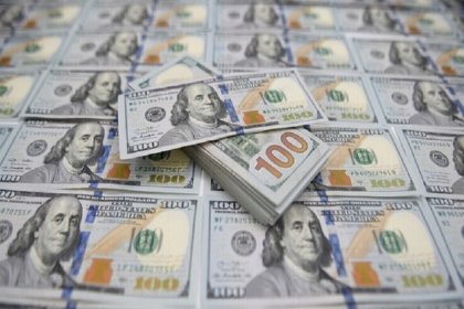 Board Member of Livestock Feed Importers: Billions of Dollars from Oil Revenue Did Not Return to the Country