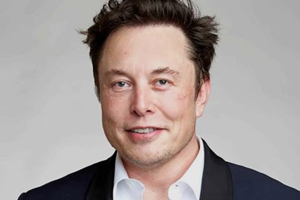 Elon Musk: If We Last 3 More Years, We'll Stand at the Peak of the World