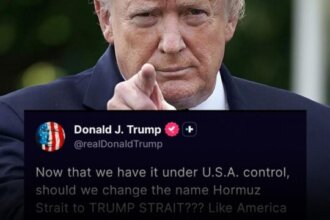 Trump Strait: Trump's New Proposal to Rename Hormuz